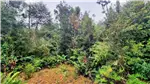  Venta  Parcela en Puerto Varas  UF976,59 $40.000.000 