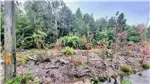  Venta  Parcela en Puerto Varas  UF976,59 $40.000.000 