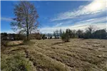  Venta  Parcela en Valdivia  UF3.418,05 $140.000.000 