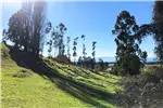 Venta  Parcela en Lago Ranco  UF1.171,90 $48.000.000 