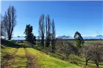  Venta  Parcela en Lago Ranco  UF1.171,90 $48.000.000 