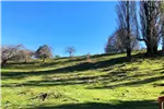  Venta  Parcela en Lago Ranco  UF1.171,90 $48.000.000 
