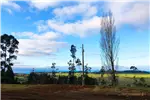  Venta  Parcela en Lago Ranco  UF1.171,90 $48.000.000 