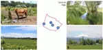  Venta  Agrícola en Coihueco  $634.864.500 UF15.500 