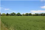  Venta  Agrícola en Coihueco  $634.864.500 UF15.500 