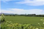  Venta  Agrícola en Coihueco  $634.864.500 UF15.500 