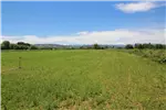  Venta  Agrícola en Coihueco  $634.864.500 UF15.500 