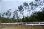  Venta  Parcela en Hualqui  $22.527.450 UF550 