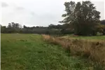  Venta  Parcela en Futrono  $178.171.650 UF4.350 