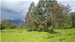 Venta  Parcela en Lago Ranco  UF2.441,47 $100.000.000 