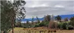  Venta  Parcela en Lago Ranco  UF2.441,47 $100.000.000 