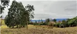  Venta  Parcela en Lago Ranco  UF2.441,47 $100.000.000 