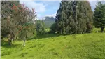  Venta  Parcela en Lago Ranco  UF2.441,47 $100.000.000 