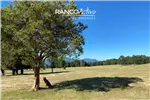  Venta  Parcela en Pucón  $86.013.900 UF2.100 