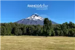  Venta  Parcela en Pucón  $86.013.900 UF2.100 