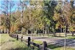  Venta  Parcela en Villarrica  UF1.709,03 $70.000.000 