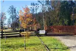  Venta  Parcela en Villarrica  UF1.709,03 $70.000.000 