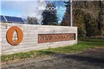  Venta  Parcela en Villarrica  UF1.709,03 $70.000.000 