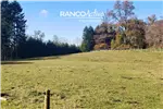  Venta  Parcela en Villarrica  UF1.709,03 $70.000.000 