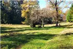  Venta  Parcela en Villarrica  UF1.709,03 $70.000.000 