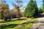  Venta  Parcela en Villarrica  UF1.709,03 $70.000.000 