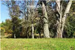 Venta  Parcela en Villarrica  UF1.709,03 $70.000.000 
