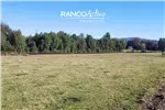  Venta  Parcela en Villarrica  UF2.270,56 $93.000.000 