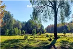  Venta  Parcela en Villarrica  UF2.270,56 $93.000.000 