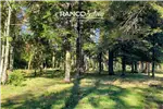  Venta  Parcela en Villarrica  UF2.270,56 $93.000.000 