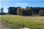  Venta  Parcela en Villarrica  UF2.270,56 $93.000.000 