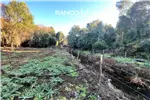  Venta  Parcela en Mariquina  $40.959.000 UF1.000 