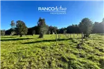  Venta  Parcela en Mariquina  $40.959.000 UF1.000 