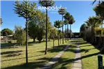  Venta  Casa en Cabrero  $450.549.000 UF11.000 