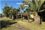  Venta  Agrícola en Cabrero  $450.549.000 UF11.000 