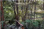  Venta  Parcela en Puerto Varas  UF1.208,53 $49.500.000 