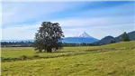 Venta  Parcela en Puerto Varas  $103.216.680 UF2.520 
