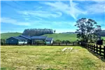  Venta  Parcela en Llanquihue  $40.959.000 UF1.000 