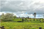  Venta  Parcela en Llanquihue  $40.959.000 UF1.000 