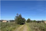  Venta  Parcela en Chillán  UF1.513,71 $62.000.000 