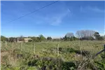  Venta  Parcela en Chillán  UF1.513,71 $62.000.000 