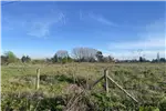  Venta  Parcela en Chillán  UF1.513,71 $62.000.000 