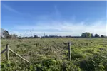  Venta  Parcela en Chillán  UF1.513,71 $62.000.000 