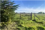  Venta  Parcela en Chillán  UF1.513,71 $62.000.000 