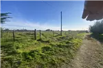  Venta  Parcela en Chillán  UF1.513,71 $62.000.000 