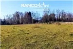  Venta  Sitio en Villarrica  UF16.357,82 $670.000.000 