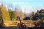  Venta  Sitio en Villarrica  UF16.357,82 $670.000.000 