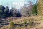  Venta  Sitio en Villarrica  UF16.357,82 $670.000.000 