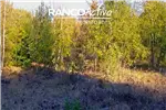  Venta  Sitio en Villarrica  UF16.357,82 $670.000.000 