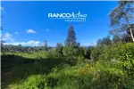  Venta  Parcela en Valdivia  UF2.636,78 $108.000.000 