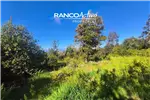  Venta  Parcela en Valdivia  UF2.636,78 $108.000.000 